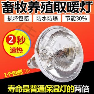 Luding chicken heating lamp heat preservation lamp rutin chicken special breeding heating bulb chicken hatching lamp brooding livestock lamp