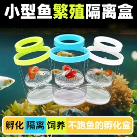 孵化器;鱼缸;鱼缸清洁用具