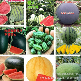 ���ϷN�Ӵ�ȫ�������ϳ�����Ǵ�������Sȿ���Ϻ�Ƥ�tȿ������