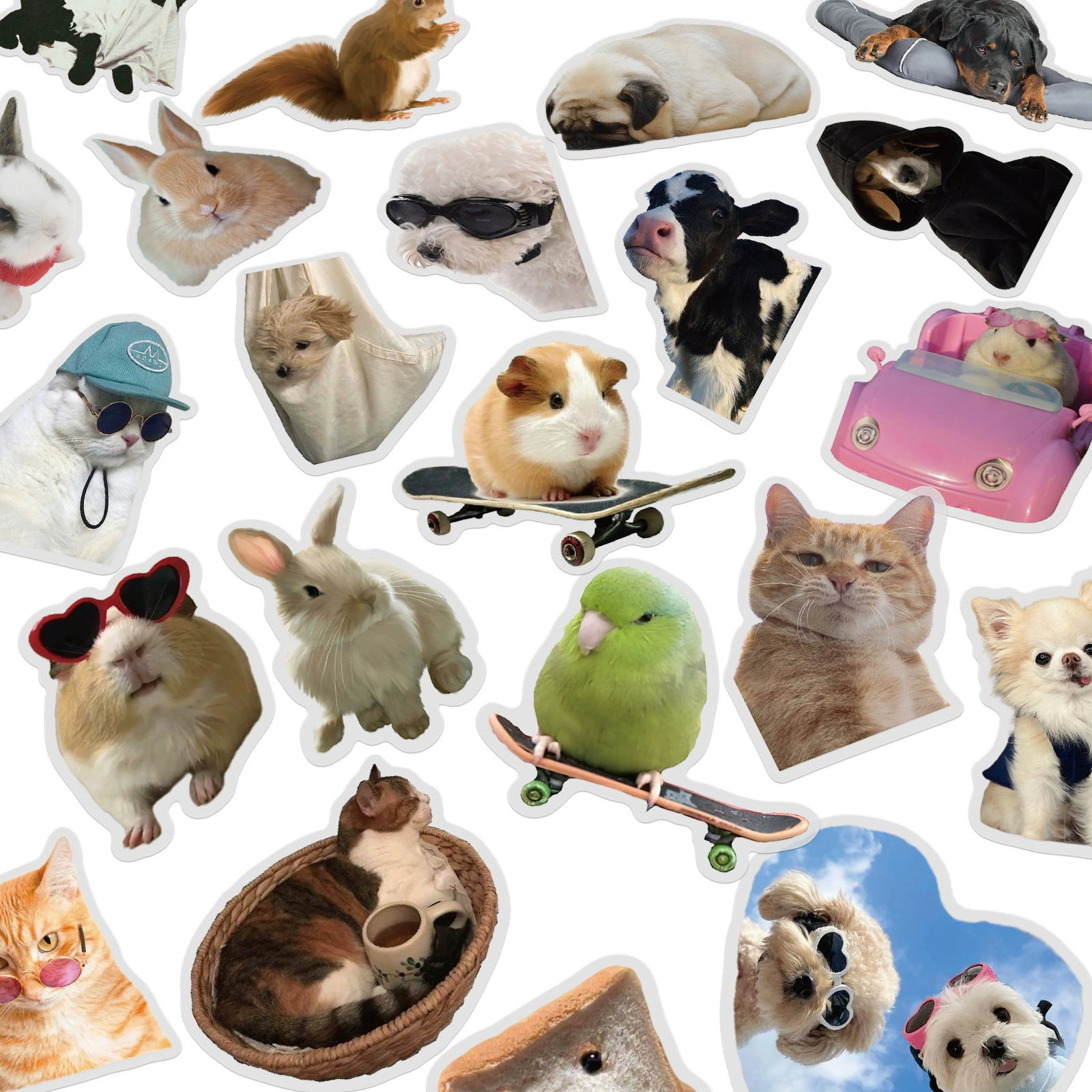50 трансграничных смешных кошек и собак ПЭТ стикер пакет креативный DIY ручной счет iPad милые домашние животные наклейки водонепроницаемый