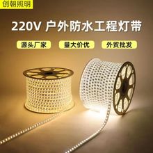 220v高压户外工程亮化外墙5730户外防水灯条2835柔性发光led灯带