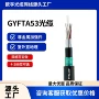 阻燃gyfta53gyftza53-16b1光纤光缆