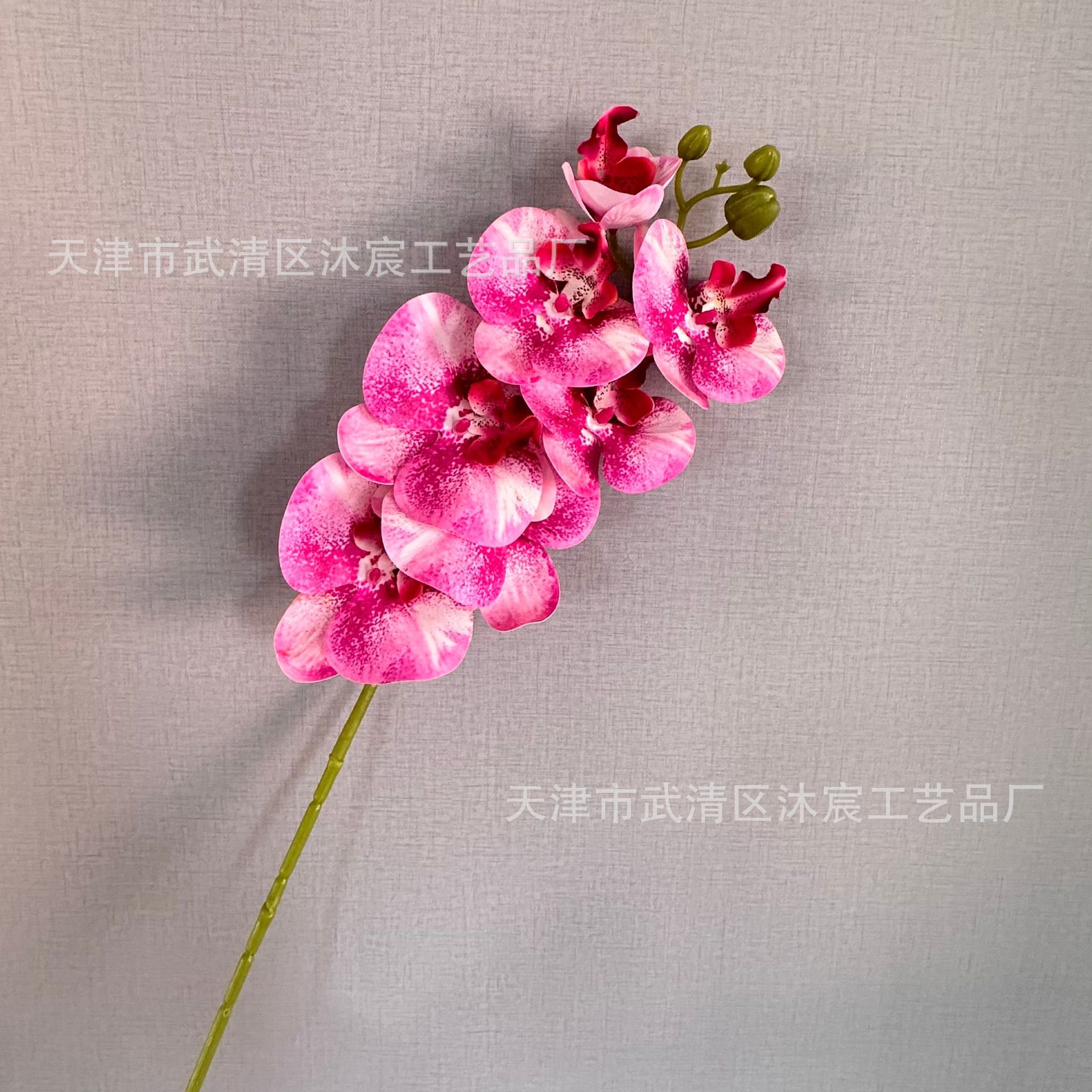 3D 7-cabeza Phalaenopsis mano-sensación de película Phalaenopsis venta al por mayor boda hogar decoración floral tiro flor material