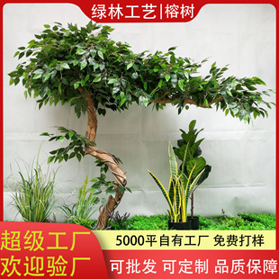 �S��ֱ�N�����S�����Ř������ľ�U�Ř�@�־��^���ͼ٘��҃��b�