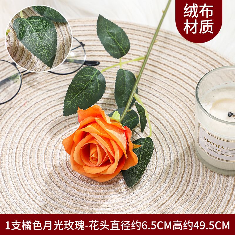 문라이트 로즈 1-오렌지