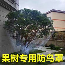 果树防鸟网 樱桃树枇杷树嘉宝树防鸟罩尼龙网葡萄园挡鸟拦鸟网子