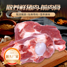 前肉骨新鲜猪肉前棒骨批发直售10kg新鲜宰杀冷冻骨汤熬汤卤制猪肉