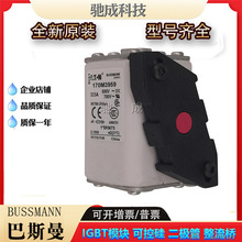 ��˹��170M3960 170M3961 170M4951  ��ѹ����˿���ž�Ӫ��Դ����