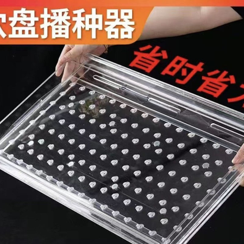 播种器辣椒加厚播种新款压孔器育苗盘播种器多功能漂浮育苗盘|undefined