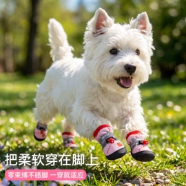 狗狗服装;狗狗窝/笼/垫;猫猫窝/笼/垫