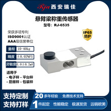 定制高精度数字悬臂梁力传感器RJ6535小量程40kg电子秤称重传感器