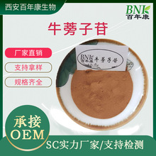 现货多规格30%-70%牛蒡子苷 牛蒡子根提取物 批发零售牛蒡子苷