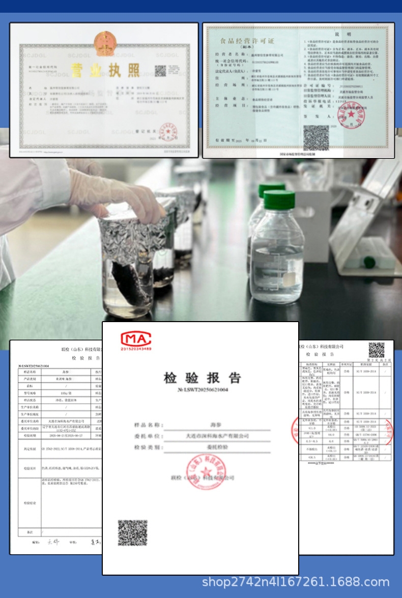 Ready to Eat Sea Cucumber 500g Individually Packed Frozen Liaoning Style Sea Cucumber key features