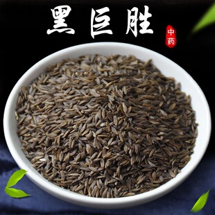 ��ș�����l���Ąپބ��Ѻ������Ѿބ����n������Ʒ��؛������]