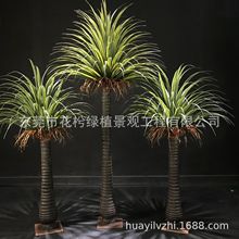 ������Ѫ����Ѫ�Fǧ��ľ����z�m��������횘����F��Ꭷ����ֲ��