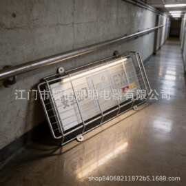 电镀款标志灯防护罩保护网罩消防双头应急灯led灯防护加固灯具