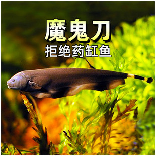 ����ë���~��ħ�����~ˮ�ݸןᎧ��ˮ�^�p���ǵ��~ô ô�����~��