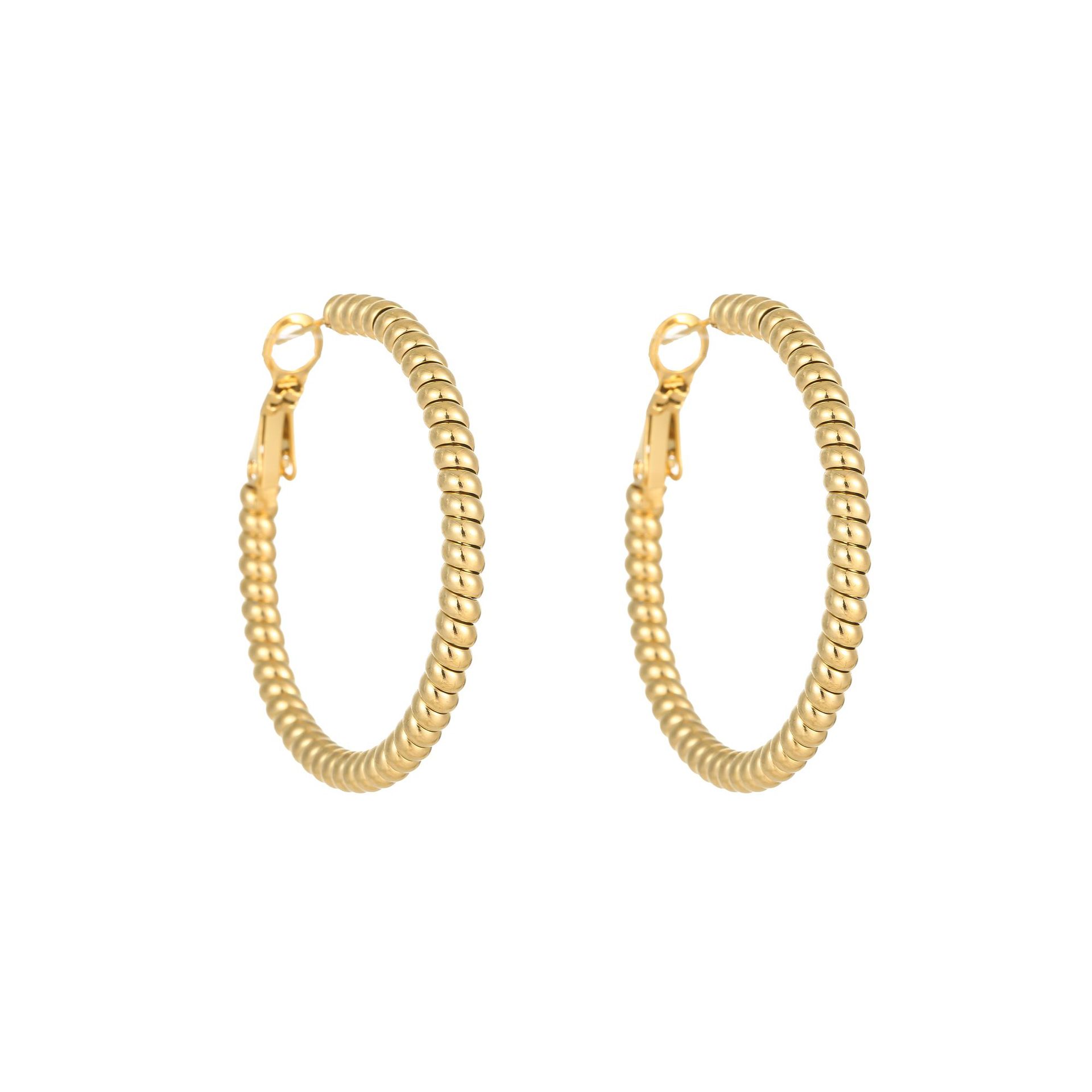 Women's Gender 1 Pair Simple Style Solid Color Plating Titanium Steel Earrings