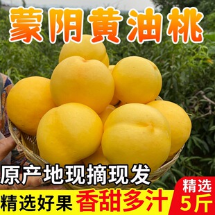 ɽ�|����S���Ҽ������r�����ЋDˮ�������S���S������������]