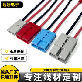 电动叉车电瓶充电线 50A175A350A600V工业电源插头光伏储能连接线