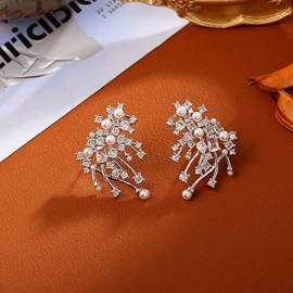 耳钉;耳环;项链