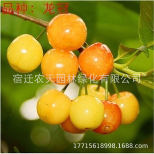 �Ї������Ĵ�С���Ҙ����r�������Ҙ�����ش����Ե����ϱ����Nֲ