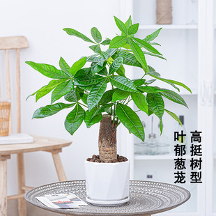 �lؔ�����Ԙ䘶��ؔ���ܿ͏d�Gֲ���҃��ļ������k���Ҵ�̖���X