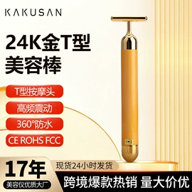 电子美容仪;面罩美容仪;瘦脸机
