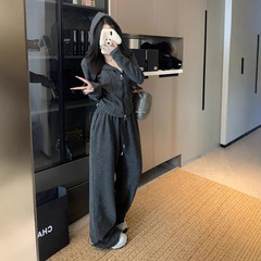 早秋薄绒连帽卫衣套装女宽松慵懒风上衣外套alo直筒长裤两件套