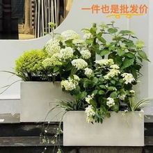 ��ˮ�໨���̨�Gֲ���V�໨�����ͥԺ�Nֲ���L�����҃ȿ͏d����