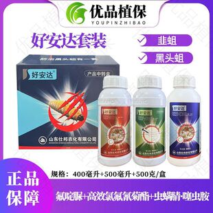 �˰�ð��_���������x����Ч�ȷ���������������������^�����x��