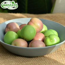 �������� �t����ģ�����A����߼��߲˔[���b�������շ���ˮ��