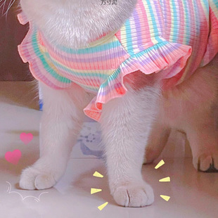 Cute Flying Sleeve Cat Clothes Summer New Blue Cat Dwarf Cat Ragdoll Pet Thin Breathable Dog Vest