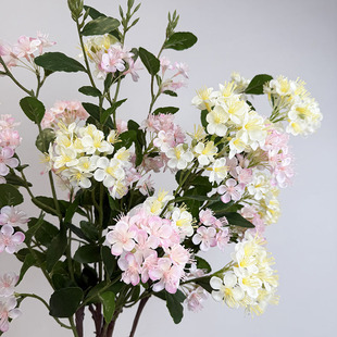 �������ӻ��{ѩ��Ī�λ��@�L��c���üҾӾƵ�͏d�b[����ٻ�