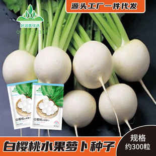 �י���ˮ���}���N�Ӱ�ɫС�}���N�Ѵ����ﶬ���ļ����������_����