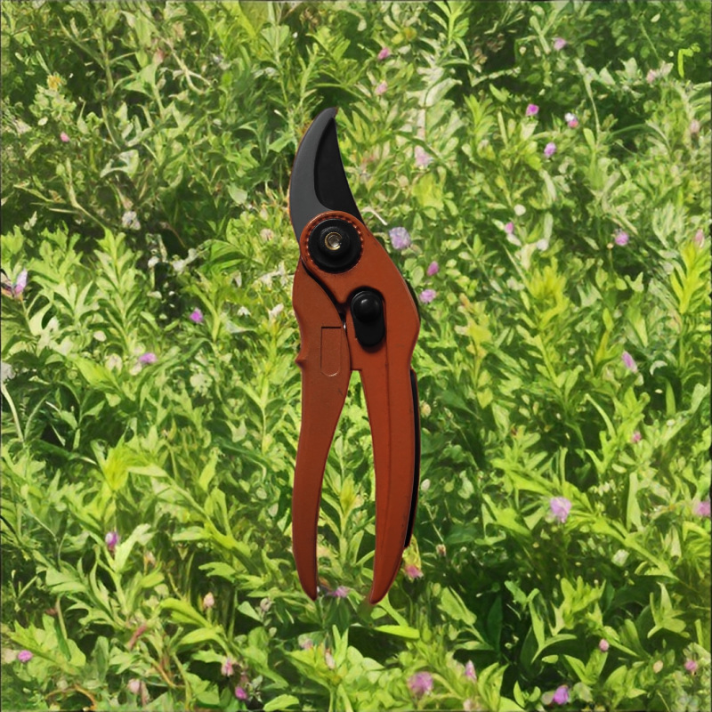 厂家直销高质量园林剪修枝剪树枝剪果枝剪摘果剪   欢迎选购