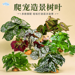 ��������������쾰�b���ֲ�����x�������ϾGֲ�������쾰�[��