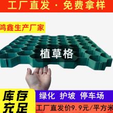 植草格园林绿化植草格消防通道停车场用绿色植草格HDPE塑料植草格