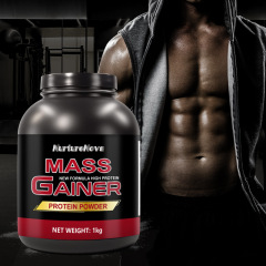 外国貿易越境輸出 マスゲイナー プロテインパウダー 1kg