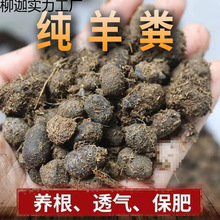 ����S���w���ЙC�l�͸�����S���B���N�ˠI�B���r�ҷ�ͨ�ßo��ζ