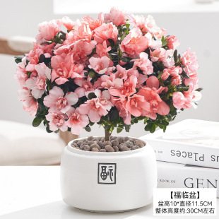 ���N�����Ԏ������ļ��_�����w�Ϙ��҃��̨���B�׻���辰�Gֲ