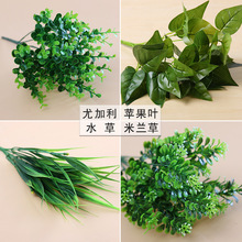 ��֧�ٻ����滨���������Ի�С������cֲ��Gֲ�b@ˇ�廨