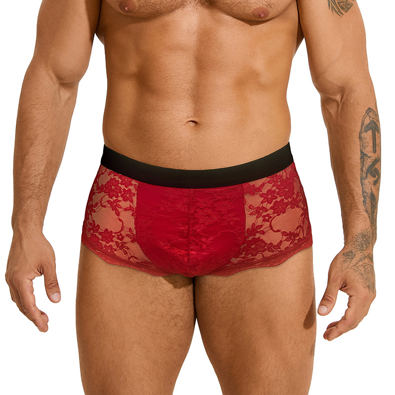 Amazon Europa y los EE.UU. Pantalones sexuales de encaje transfronterizas masculinas sexy triángulo hueco pantalones de seducción transparentes