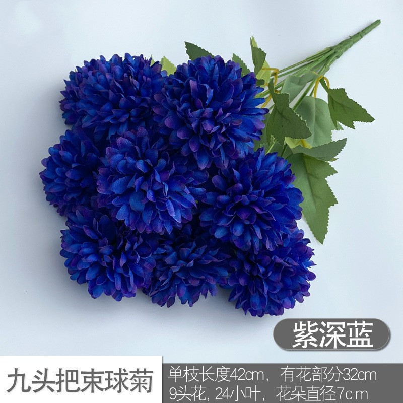 Nine -headed ball chrysanthemum purple deep blue