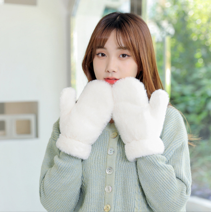2025冬季纯色冬天女加绒保暖雪地防寒女生毛绒韩版手套女跨境批发|undefined