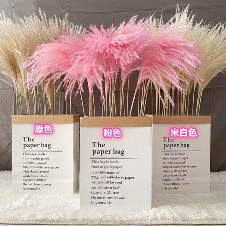 f1b3b705e137e2955236d99b68a53f