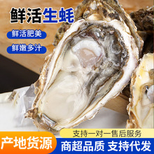 ���l���l10������r������[���Î���ĵϠ���rˮ�a�r�Ϡ��