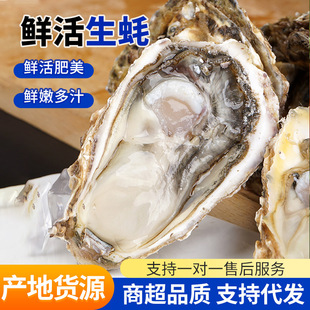 �����һ�����l����r������[���Î���ĵϠ���rˮ�a�r�Ϡ��