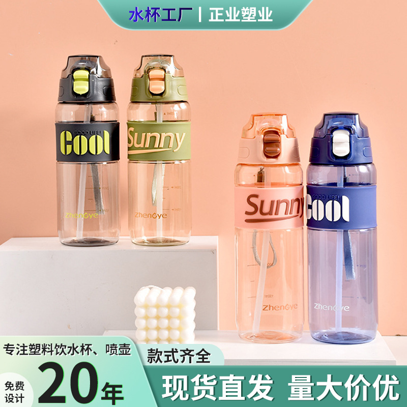 New Push-Button Pop-Up Straw Cup, Portable, Drop-Proof, Sealed Sports Water Cup, Large-Capacity Student Outdoor Sports Water Bottle