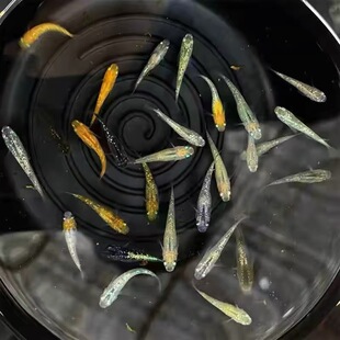 �^�����F�^�p�~����ˮ�ԁ�ˮ���B�ͻ�С�Ͱ��R��ˮ�������ŷ��~��